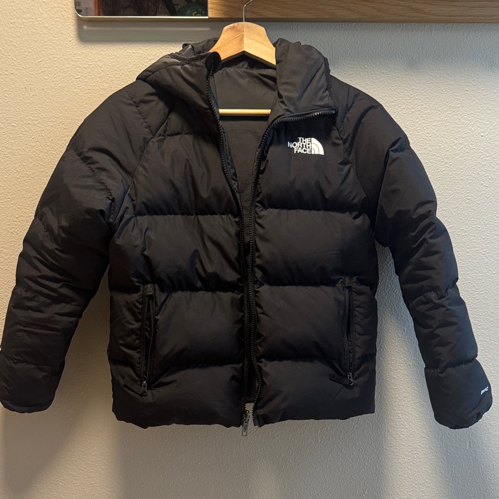 The North Face Black North Down 600 Jacket